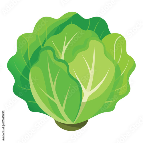 Fresh Lettuce Food Vector Illustration - Green Vegetable Design for Healthy Eating
