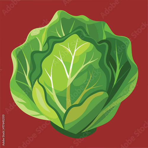 Fresh Lettuce Food Vector Illustration - Green Vegetable Design for Healthy Eating
