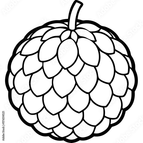 Custard Apple Outline Illustration Vector