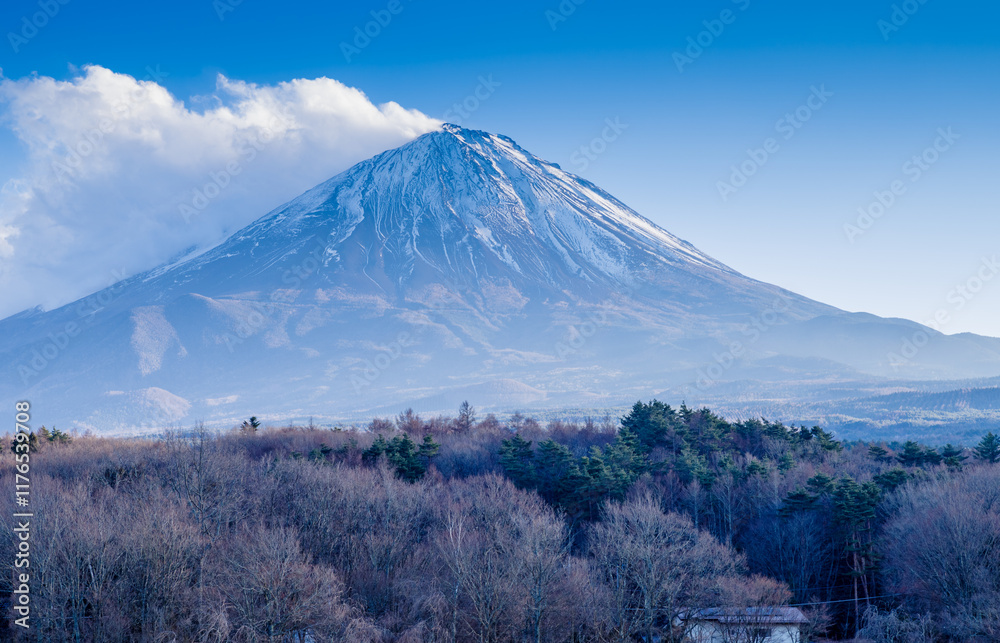 Fototapeta premium 鳴沢村の富士山
