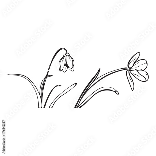 One-Line Snowdrop Flower Vector Illustration