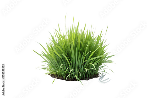 Vibrant Green Grass on White Background on Transparent Background: Natural Plant Growth Concept photo