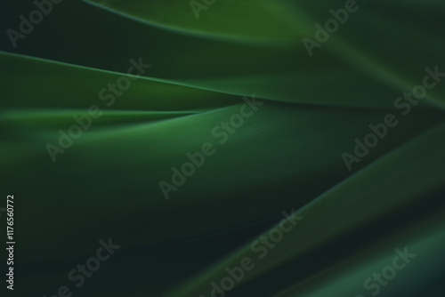 Dark green leaf texture, Natural green leaves using as nature background wallpaper or tropical leaf cover page