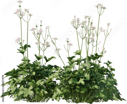 Grass, Bush, Flower Overlays