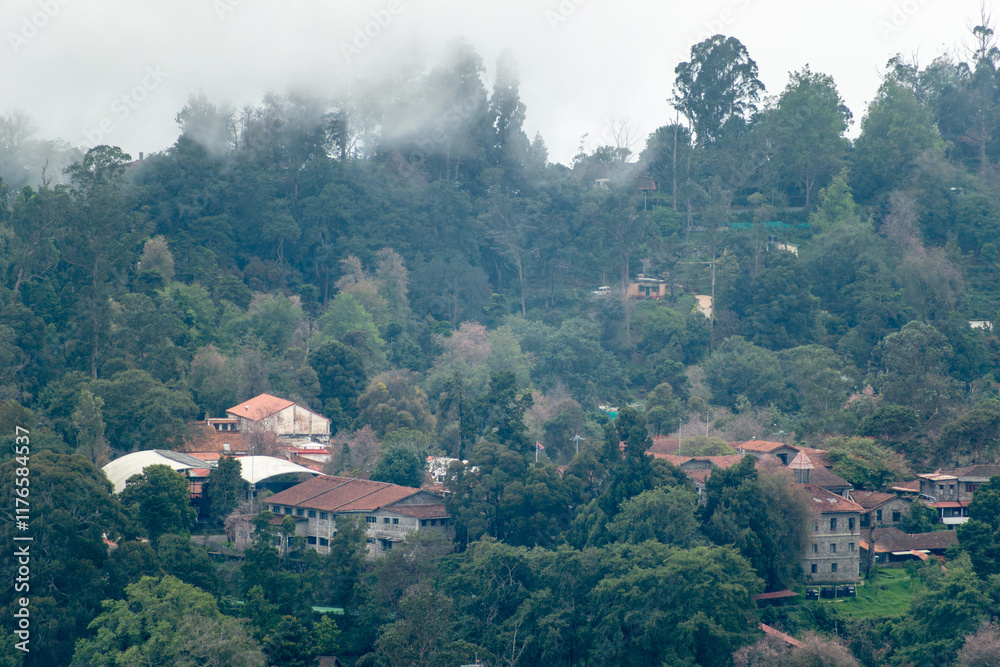 Fototapeta premium Overlooking Kodaikanal, the landscape showcases rolling hills, dense trees, and charming structures enveloped in mist