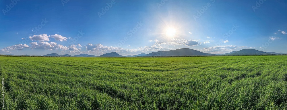 Obraz premium Serene Meadow with Houses and Mountains Under Blue Sky