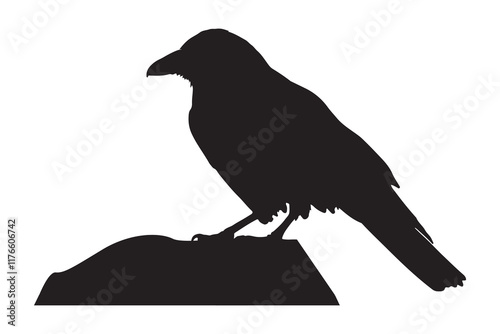 Bird silhouette vector illustration