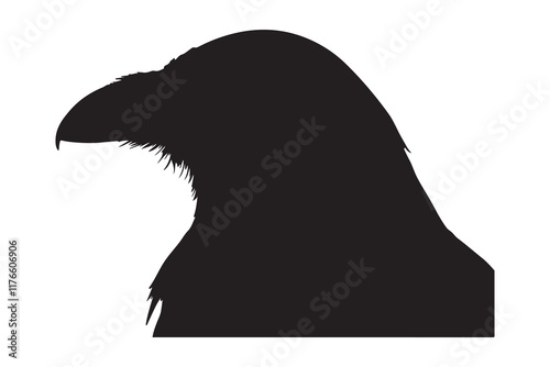 Bird silhouette vector illustration