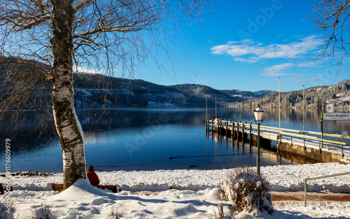 Lake Titisee in the Black Forest in Winter photo