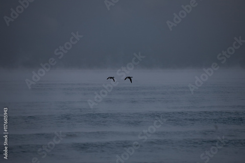 the winter sea
