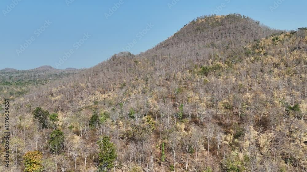 4K Aerial shot flying over yellow autumn trees in the mountain 4K Aerial shot flying over yellow autumn trees in the mountain