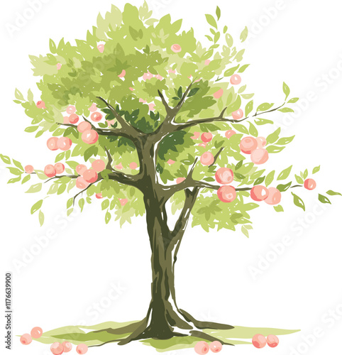 Apple tree with ripe fruits. Hand drawn vector illustration in watercolor style, lush tree with red apples. 