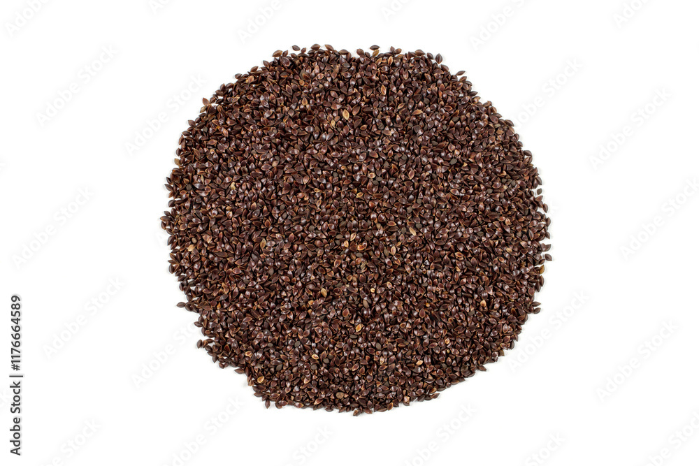 Sorrel seeds on a white background. A bunch of sorrel seeds. Sorrel seeds on a white background. A bunch of sorrel seeds.