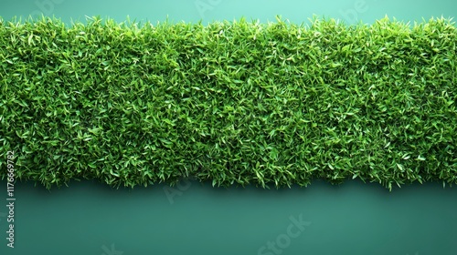 Lush green grass wall on teal background.