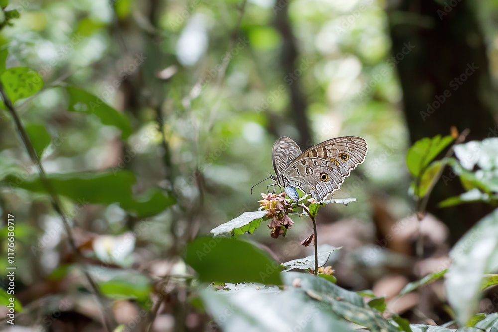 A dazzling scene of a blue morpho butterfly resting on a flower in a rainforest clearing A dazzling scene of a blue morpho butterfly resting on a flower in a rainforest clearing