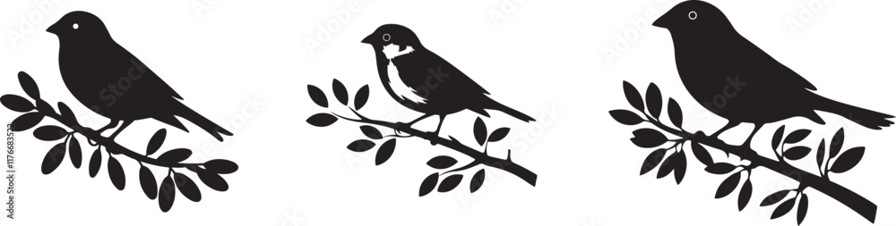 Obraz premium Elegant Black Birds Sitting on Branches