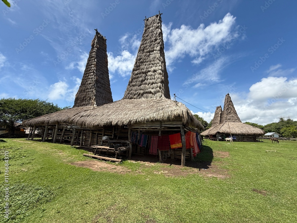 Traditional house in a village in Sumba, Indonesia 