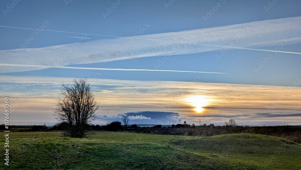 Beautiful sunset scenery with lonely tree in green field at county Galway, Ireland, nature background