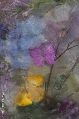 colorful spring flowers frozen in ice creating watercolor effect painting in blue, yellow and purple photo