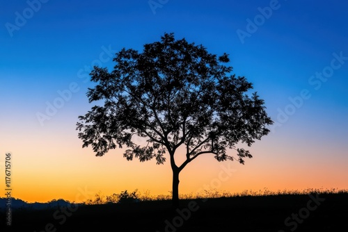 Wallpaper Mural Silhouette of a Tree Against a Bright Blue Sky for Nature and Landscape Projects Torontodigital.ca