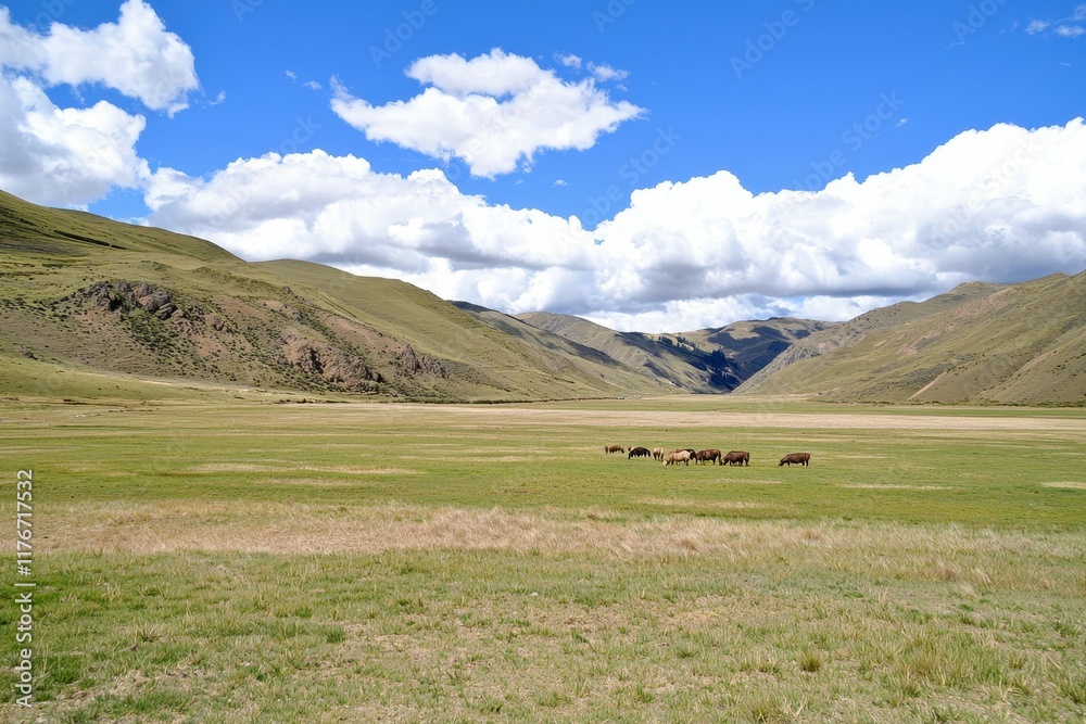 A family of vicuas grazing peacefully in the high-altitude grasslands of the Andes. A family of vicuas grazing peacefully in the high-altitude grasslands of the Andes.
