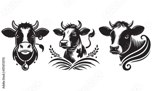black and white cow