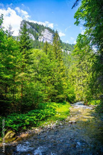 In the Demanovka River Valley, crystal-clear waters meander through rich greenery, surrounded by towering cliffs and vibrant forest life under a bright blue sky. photo