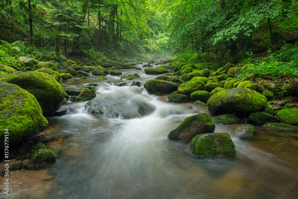 The Grobbach stream flowing through the lush forest in the Northern Black Forest near Baden-Baden, Germany The Grobbach stream flowing through the lush forest in the Northern Black Forest near Baden-Baden, Germany