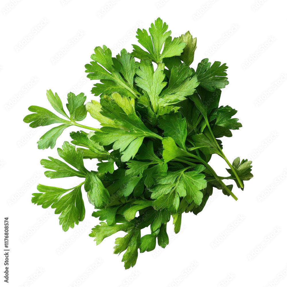 Dried Parsley Leaves for Culinary Use on transparent background Dried Parsley Leaves for Culinary Use on transparent background