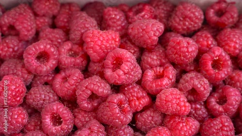 Raspberry fresh berries closeup. Ripe fresh organic red raspberries as background. Harvest concept.	