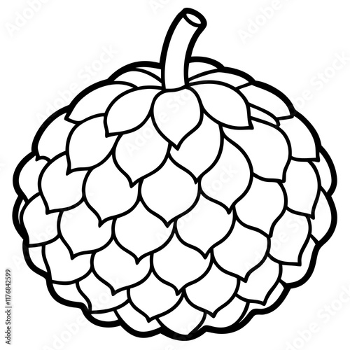 Elegant Custard Apple Vector Line Drawing