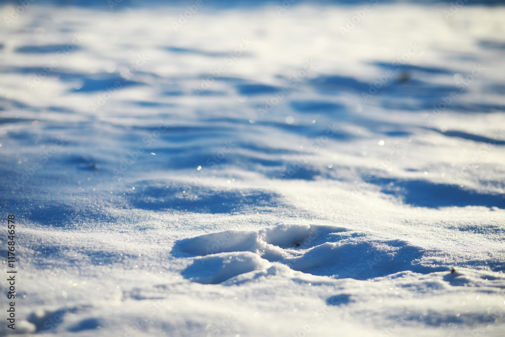 Pristine Snow-Covered Ground in Winter Landscape with Sparkling Ice and Gentle Snowdrifts Under Sunshine Pristine Snow-Covered Ground in Winter Landscape with Sparkling Ice and Gentle Snowdrifts Under Sunshine