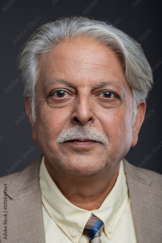 Portrait Of An Old Age Businessman With Grey Hair In A Light Brown Suit Portrait Of An Old Age Businessman With Grey Hair In A Light Brown Suit
