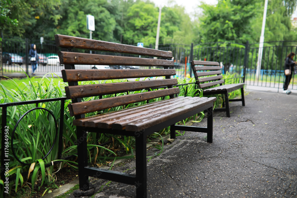 Rain-Kissed Wooden Bench in a Peaceful Urban Park Setting Rain-Kissed Wooden Bench in a Peaceful Urban Park Setting