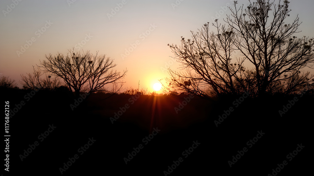 sunset