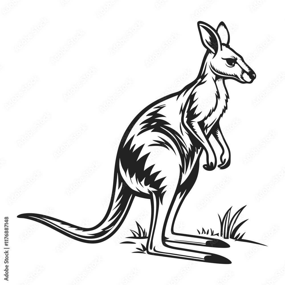 Fototapeta premium realistic 3d cartoon character of kangroo with white background