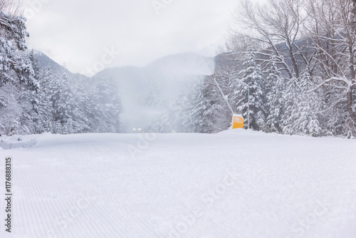 Картината върху платно Snow groomer snowcat ratrack machine preparing ski road slope for alpine skiing,