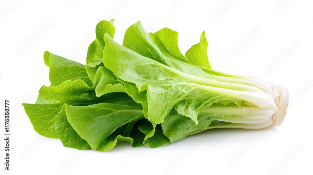 Fresh bok choy with vibrant green leaves and white stalks. Fresh bok choy with vibrant green leaves and white stalks.