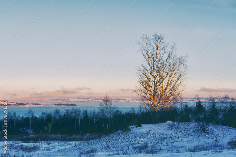 Landscape of rural Toten with Lake Mjøsa and Hovinsholmen Island seen from Balke, Norway, in January 2025. Landscape of rural Toten with Lake Mjøsa and Hovinsholmen Island seen from Balke, Norway, in January 2025.