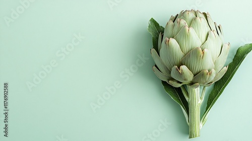 A single artichoke with one leaf removed, isolated on a gradient background transitioning from green to white photo