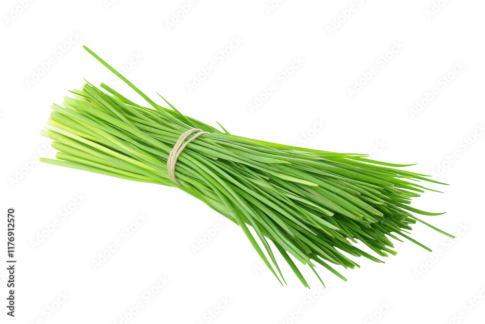 Freshly harvested chives tied together for culinary use in cooking and garnishing dishes Freshly harvested chives tied together for culinary use in cooking and garnishing dishes
