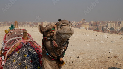 pyramide, Égypte, Gizeh, Sphinx, pharaon, antiquité, archéologie, monument, histoire, désert, architecture, ancienne, tombeau, civilisation, hiéroglyphe, momie, nécropole, Kheops, Khephren, Mykérinos, photo