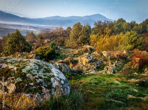 Roacks with moss, grass, conifers and fog at Alberche Valley photo