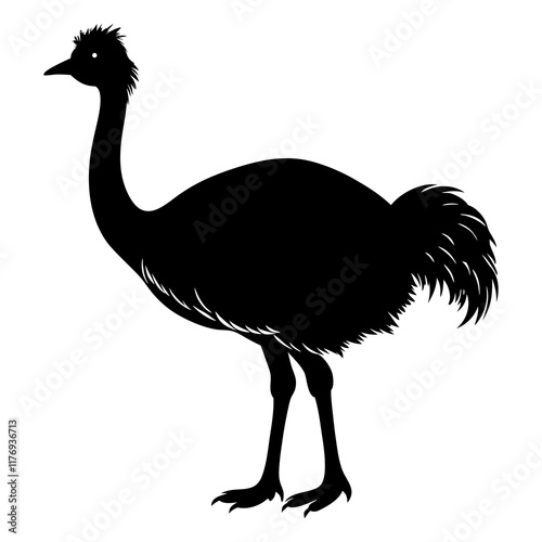 Emu Silhouette vector illustration photo