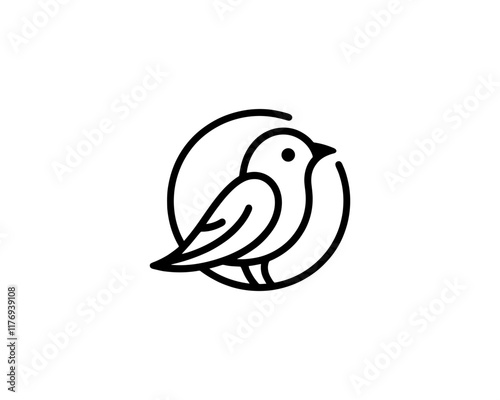 Bird Logo Design Icon Symbol Vector Illustration.