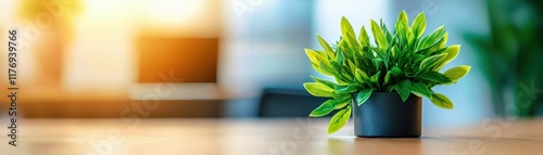 Modern office with vibrant green plants and stylish decor, creating a balance of functionality and aesthetics for professional settings