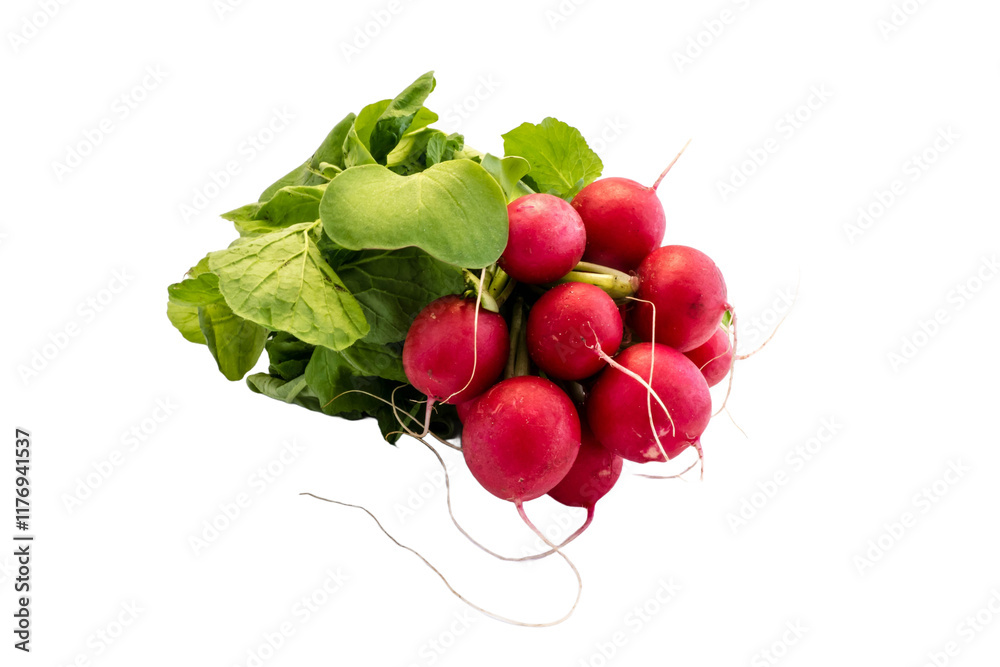 bunch of radishes isolated on transparent background