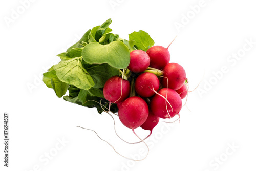 Obraz na płótnie bunch of radishes isolated on transparent background w salonie