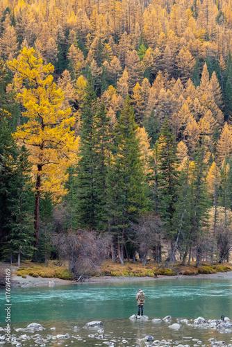 fisherman catches grayling in a mountain river