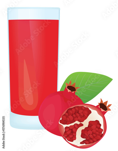 Pomegranate juice in glass. vector